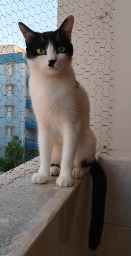 kullanıcı tarafından yüklenmiş görsel
