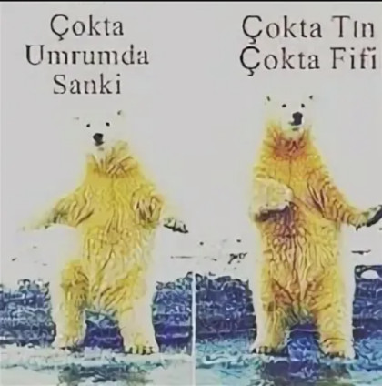 kullanıcı tarafından yüklenmiş görsel