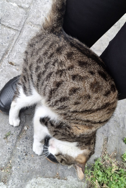 kullanıcı tarafından yüklenmiş görsel