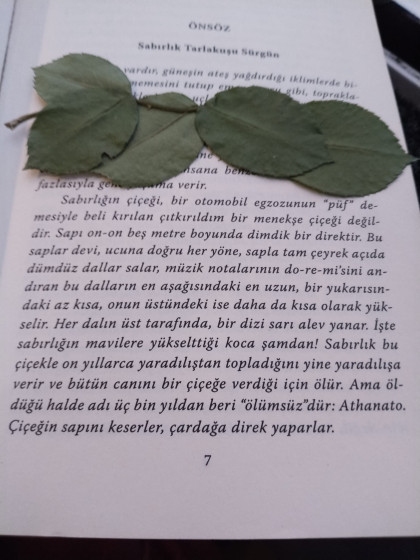 kullanıcı tarafından yüklenmiş görsel