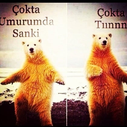 kullanıcı tarafından yüklenmiş görsel