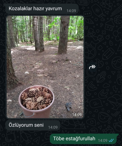 kullanıcı tarafından yüklenmiş görsel