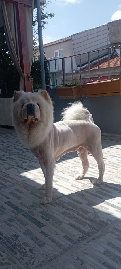 kullanıcı tarafından yüklenmiş görsel