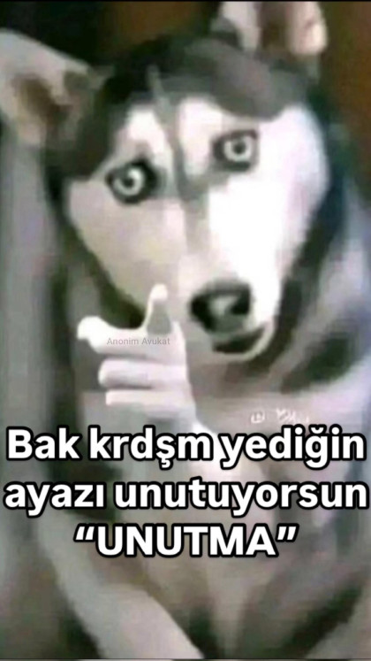 kullanıcı tarafından yüklenmiş görsel