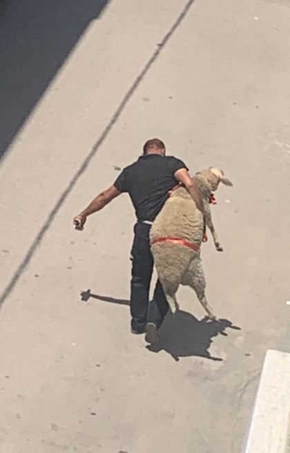 kullanıcı tarafından yüklenmiş görsel