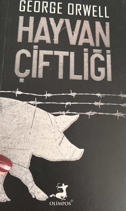 kullanıcı tarafından yüklenmiş görsel