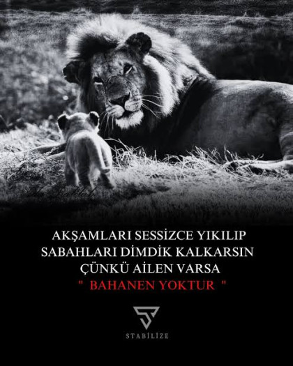 kullanıcı tarafından yüklenmiş görsel