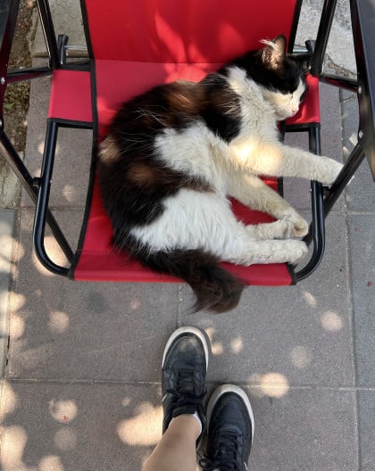 kullanıcı tarafından yüklenmiş görsel