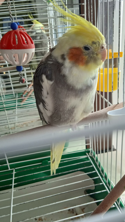 kullanıcı tarafından yüklenmiş görsel