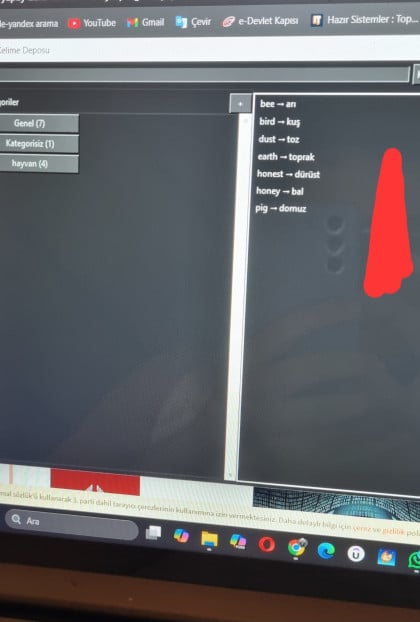 kullanıcı tarafından yüklenmiş görsel
