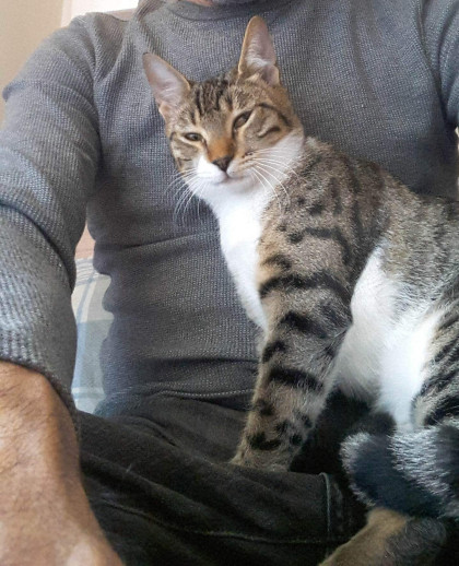 kullanıcı tarafından yüklenmiş görsel