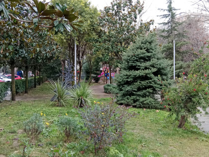 kullanıcı tarafından yüklenmiş görsel