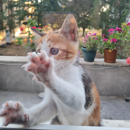 kullanıcı tarafından yüklenmiş görsel