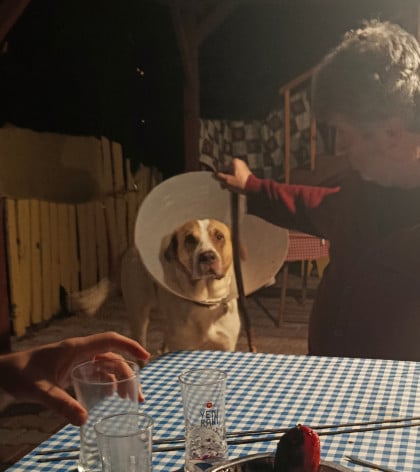 kullanıcı tarafından yüklenmiş görsel
