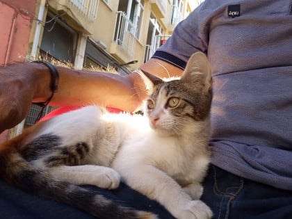 kullanıcı tarafından yüklenmiş görsel