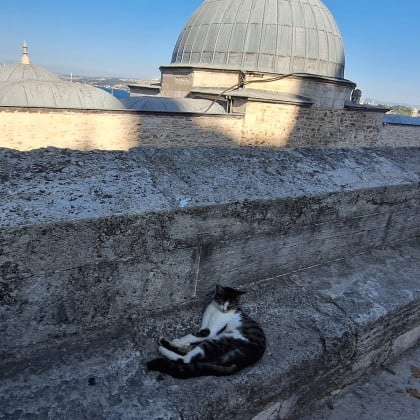 kullanıcı tarafından yüklenmiş görsel