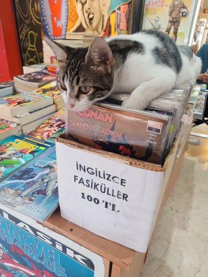 kullanıcı tarafından yüklenmiş görsel