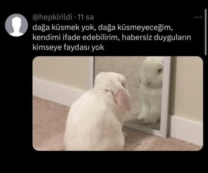 kullanıcı tarafından yüklenmiş görsel