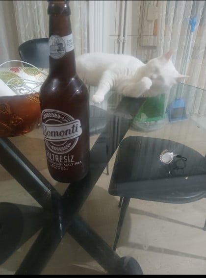 kullanıcı tarafından yüklenmiş görsel