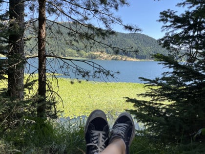 kullanıcı tarafından yüklenmiş görsel