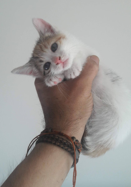 kullanıcı tarafından yüklenmiş görsel