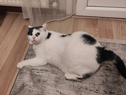 kullanıcı tarafından yüklenmiş görsel