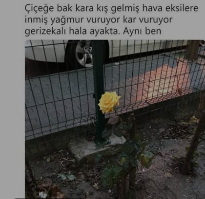 kullanıcı tarafından yüklenmiş görsel