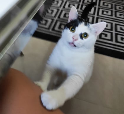 kullanıcı tarafından yüklenmiş görsel