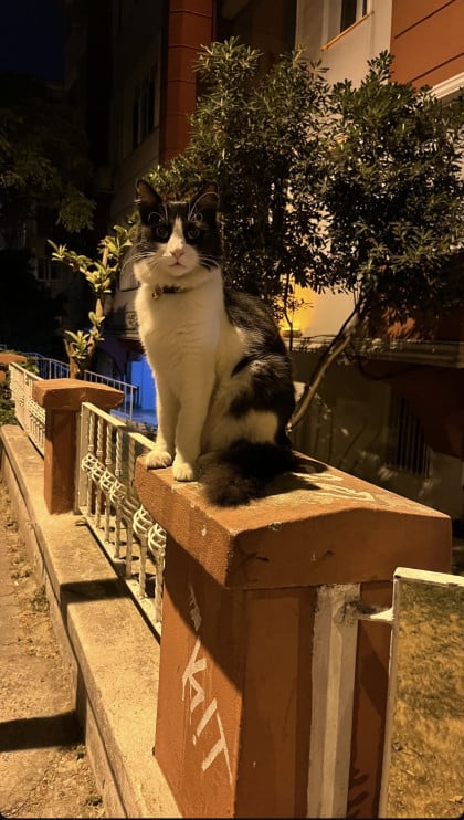 kullanıcı tarafından yüklenmiş görsel