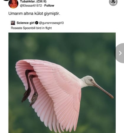 kullanıcı tarafından yüklenmiş görsel