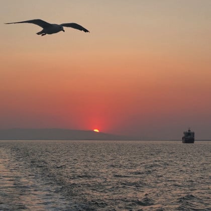 kullanıcı tarafından yüklenmiş görsel