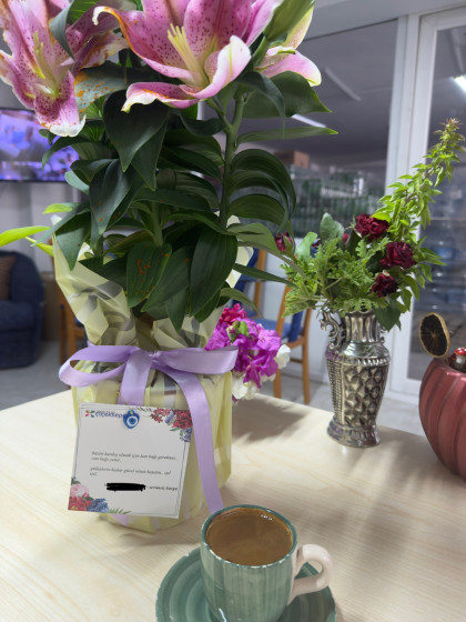 kullanıcı tarafından yüklenmiş görsel