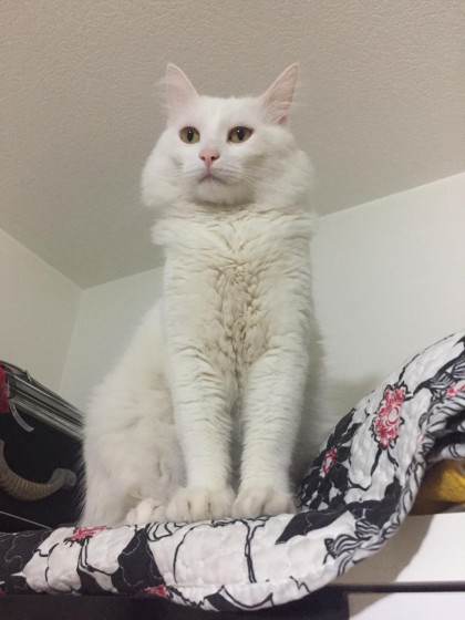 kullanıcı tarafından yüklenmiş görsel