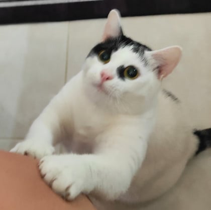 kullanıcı tarafından yüklenmiş görsel