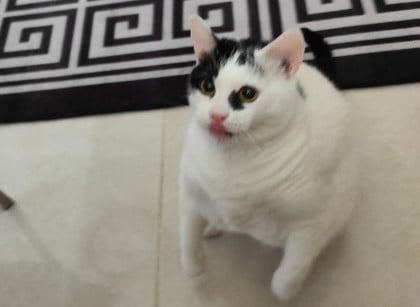 kullanıcı tarafından yüklenmiş görsel