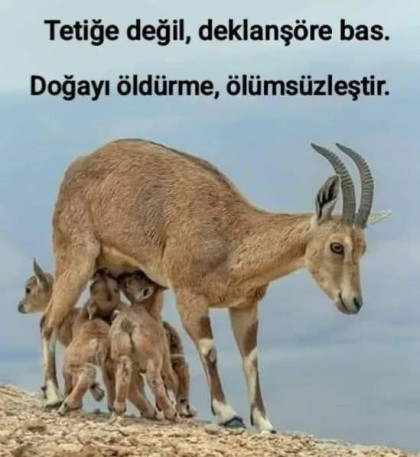 kullanıcı tarafından yüklenmiş görsel