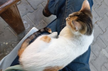 kullanıcı tarafından yüklenmiş görsel