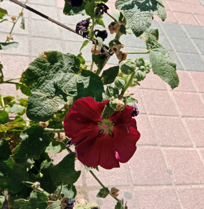 kullanıcı tarafından yüklenmiş görsel