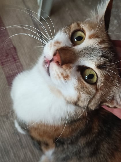 kullanıcı tarafından yüklenmiş görsel