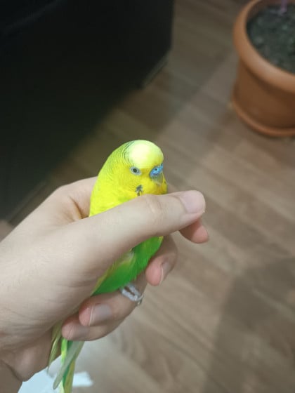 kullanıcı tarafından yüklenmiş görsel