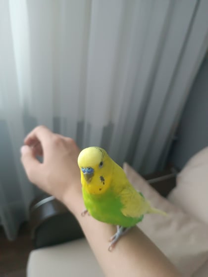 kullanıcı tarafından yüklenmiş görsel