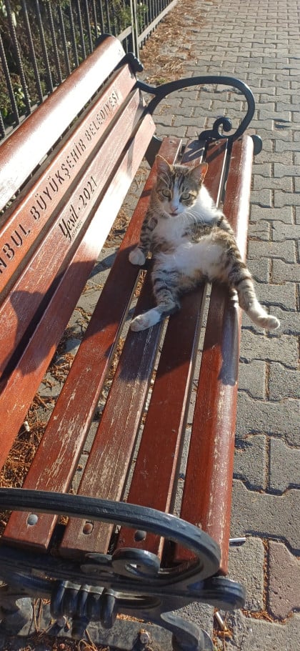 kullanıcı tarafından yüklenmiş görsel