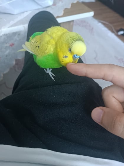 kullanıcı tarafından yüklenmiş görsel