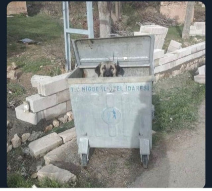 kullanıcı tarafından yüklenmiş görsel