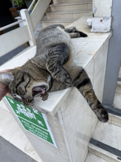 kullanıcı tarafından yüklenmiş görsel