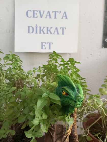 kullanıcı tarafından yüklenmiş görsel
