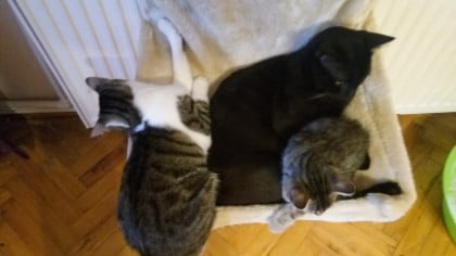 kullanıcı tarafından yüklenmiş görsel