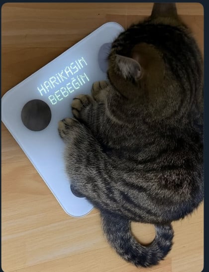 kullanıcı tarafından yüklenmiş görsel