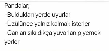 kullanıcı tarafından yüklenmiş görsel
