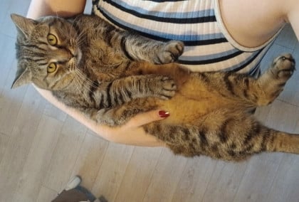 kullanıcı tarafından yüklenmiş görsel